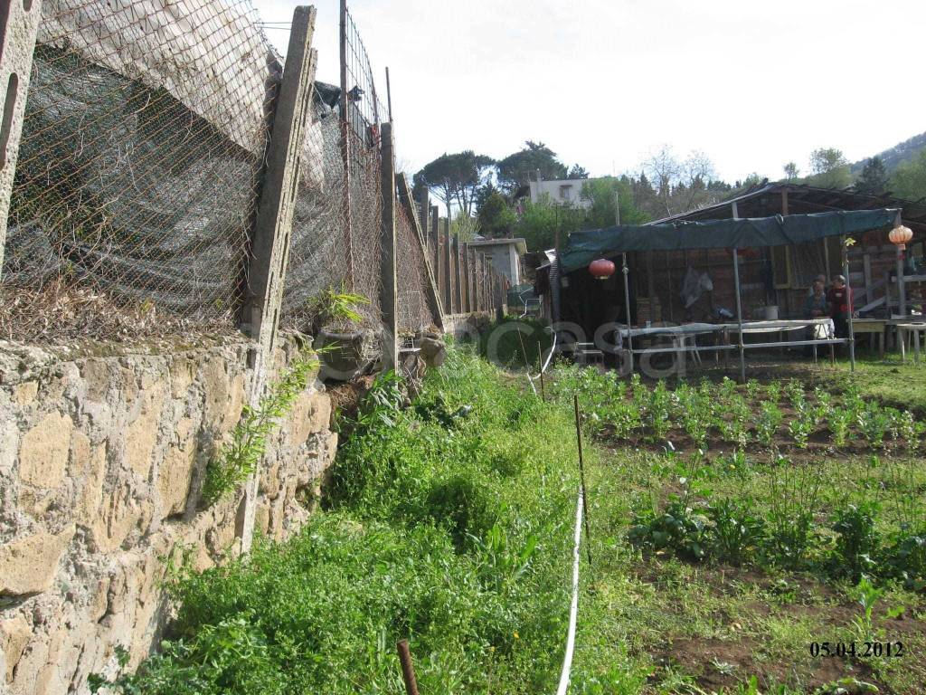 immagine annuncio 2 di 8