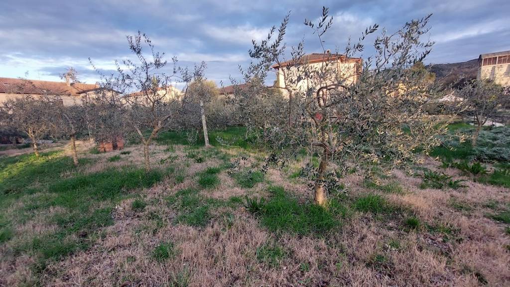 immagine annuncio 6 di 11