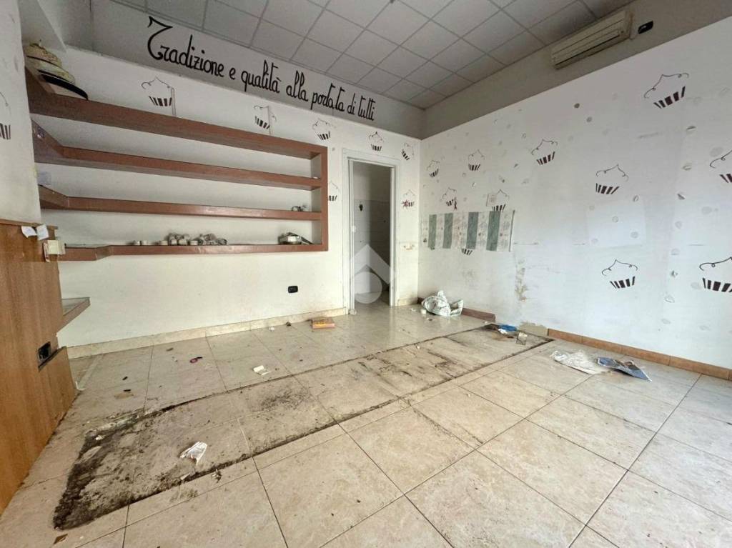 immagine annuncio 3 di 12
