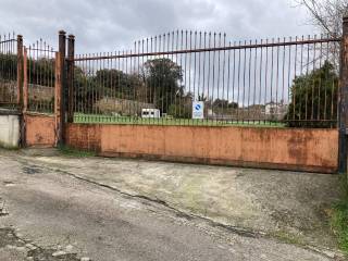 Terreno agricolo in affitto a quarto via altiero spinelli