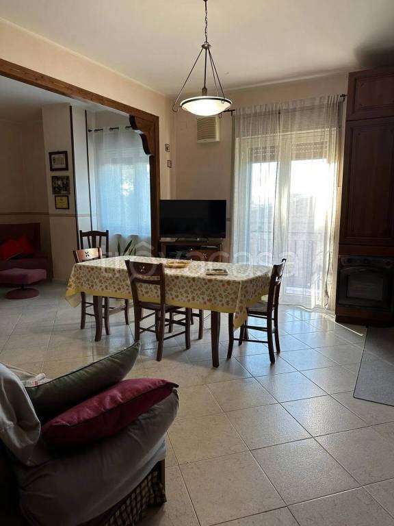 immagine annuncio 5 di 14