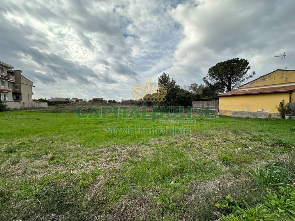 immagine annuncio 4 di 8