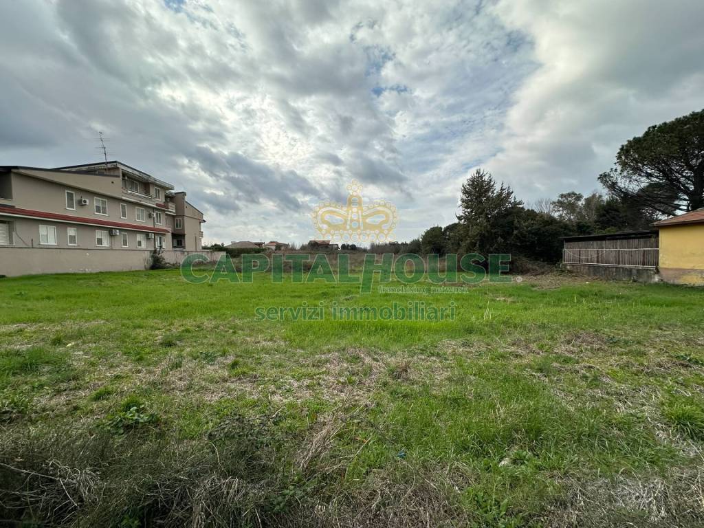 immagine annuncio 5 di 8