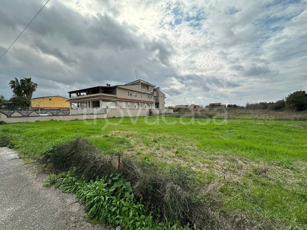 immagine annuncio 1 di 8