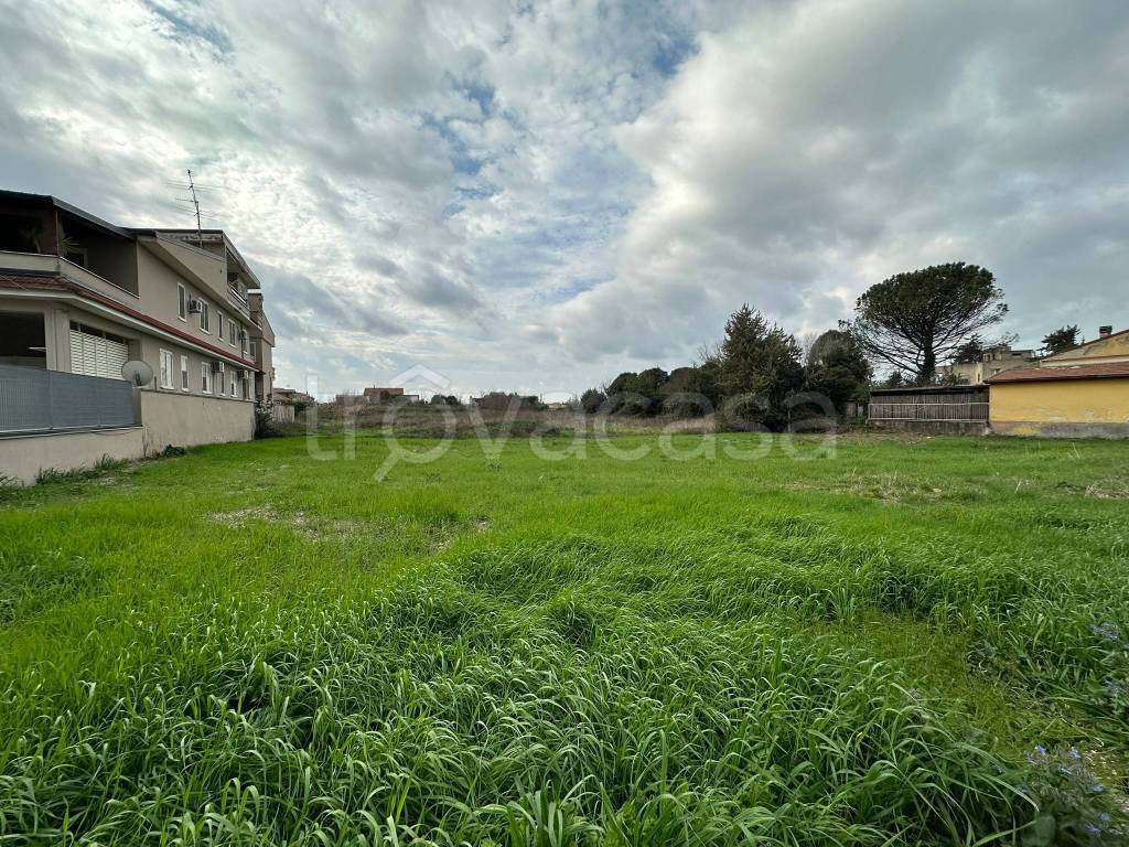 immagine annuncio 3 di 8