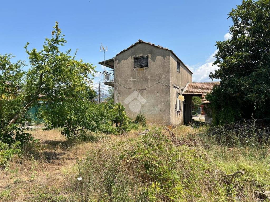 immagine annuncio 4 di 13