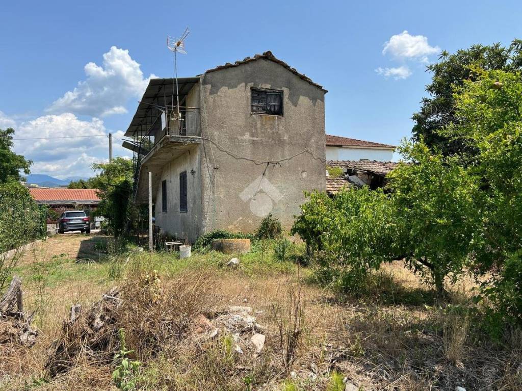 immagine annuncio 5 di 13