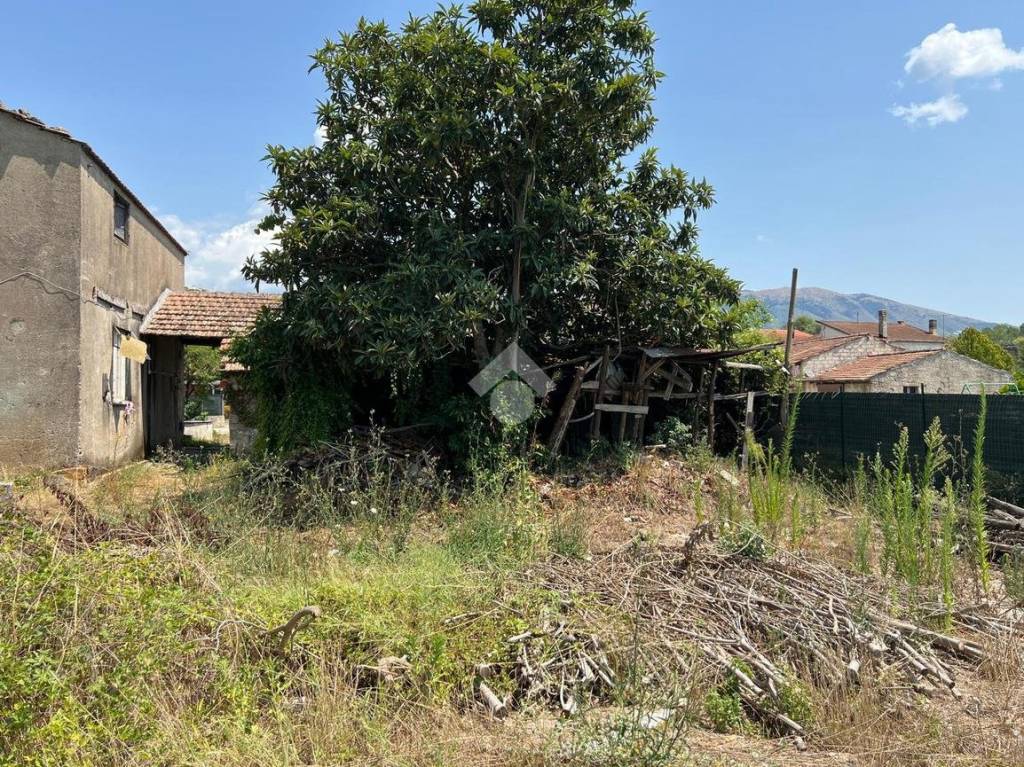 immagine annuncio 6 di 13