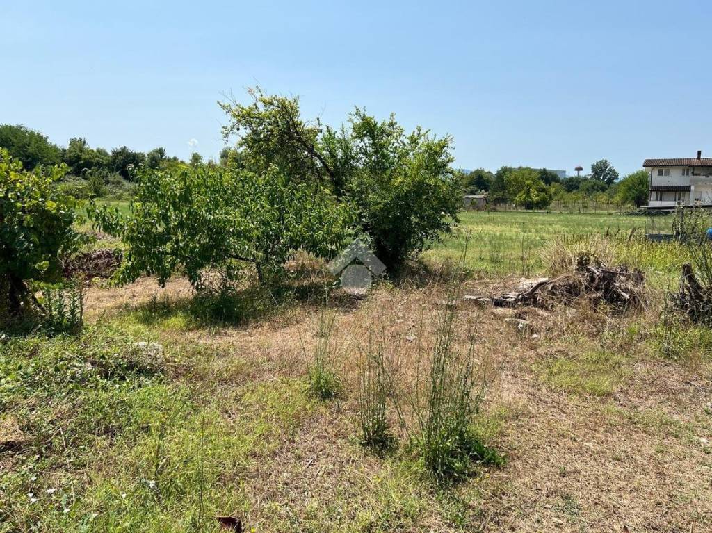 immagine annuncio 7 di 13