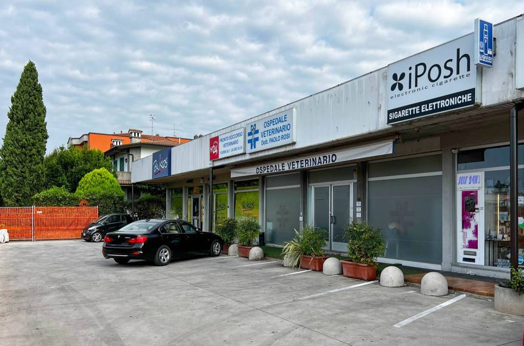 immagine annuncio 3 di 11