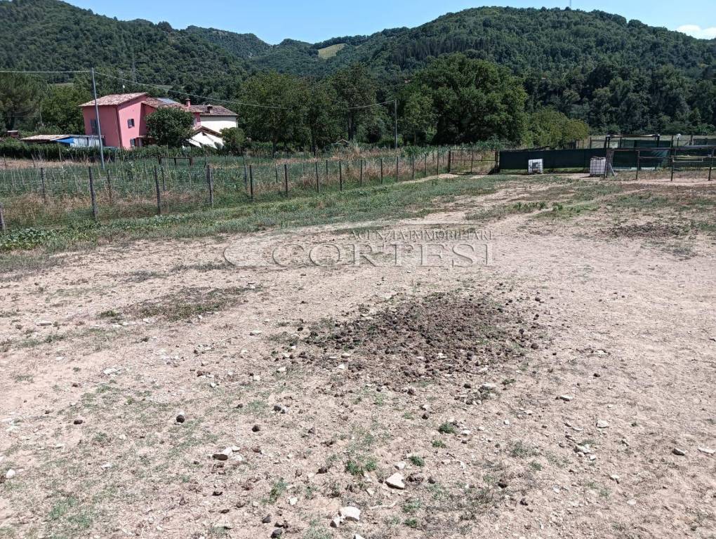 immagine annuncio 2 di 11