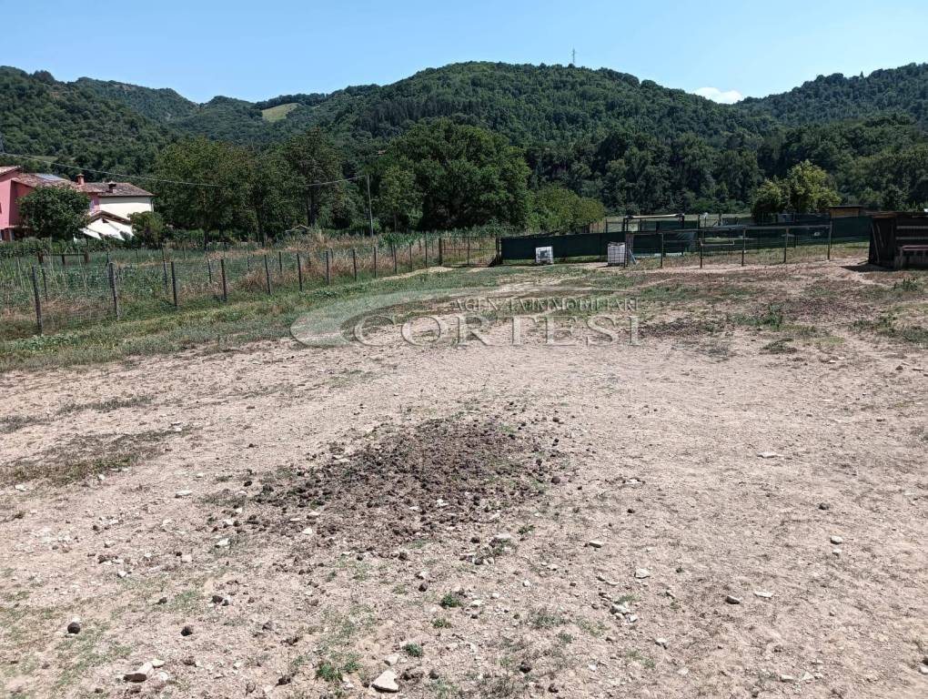 immagine annuncio 3 di 11