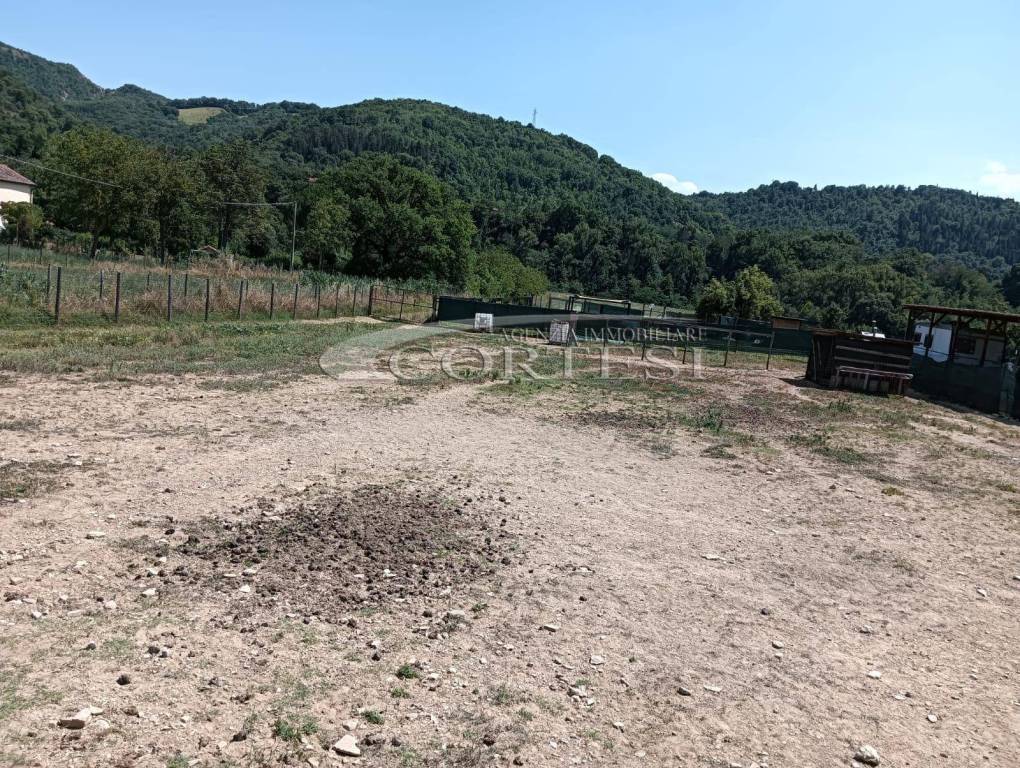 immagine annuncio 5 di 11