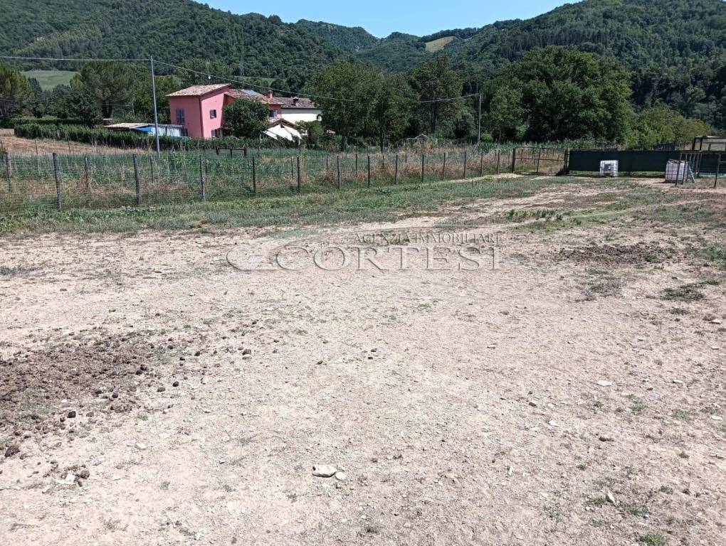 immagine annuncio 7 di 11