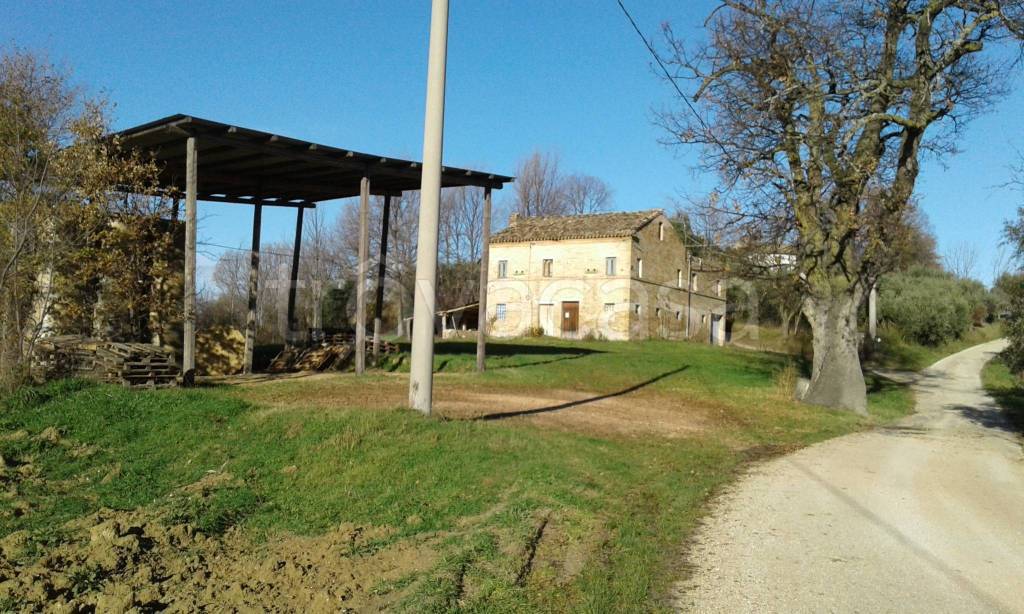 immagine annuncio 2 di 4