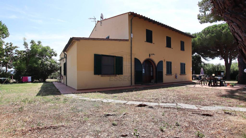 immagine annuncio 5 di 7