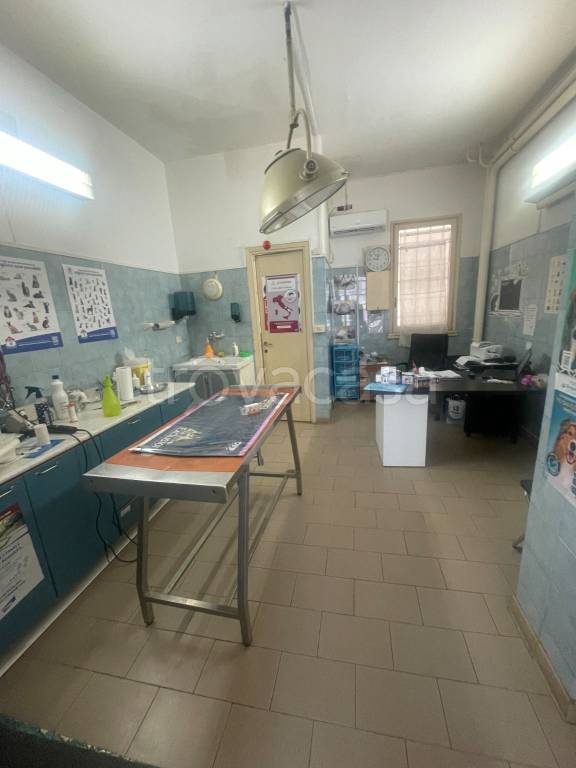 immagine annuncio 2 di 7