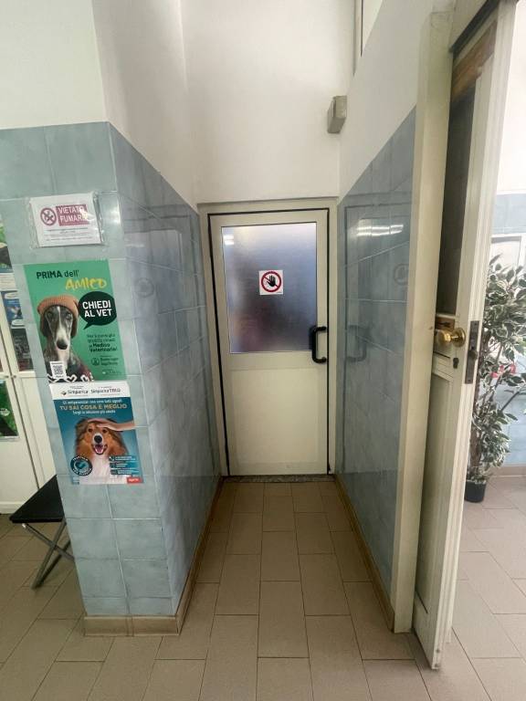 immagine annuncio 3 di 7