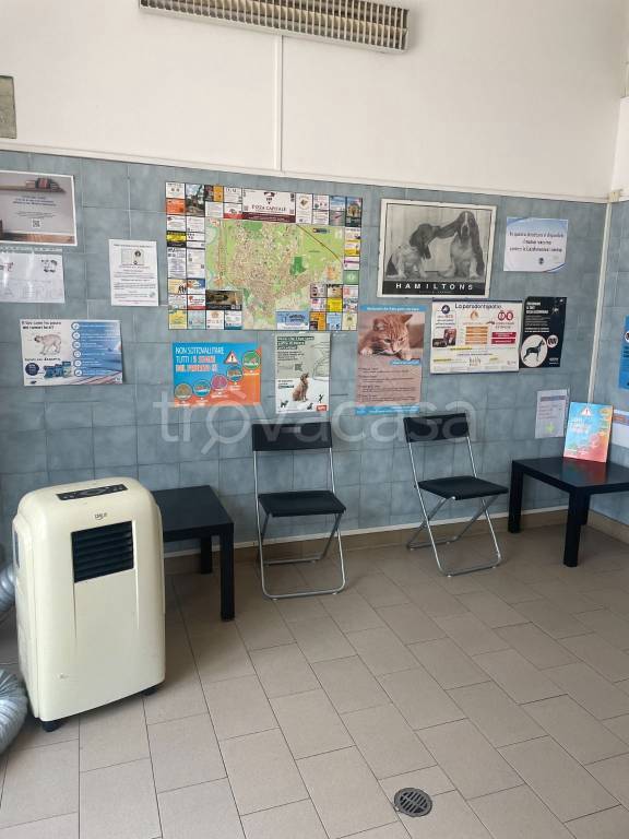 immagine annuncio 5 di 7