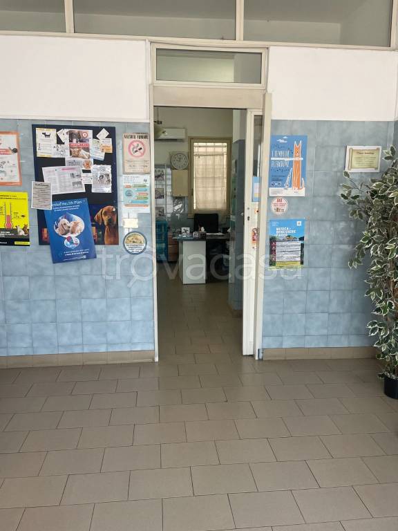 immagine annuncio 6 di 7