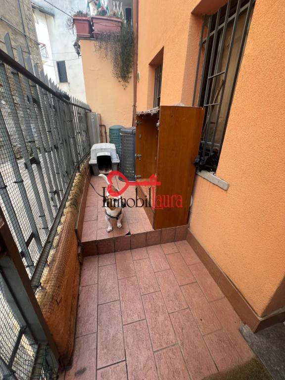 immagine annuncio 2 di 9