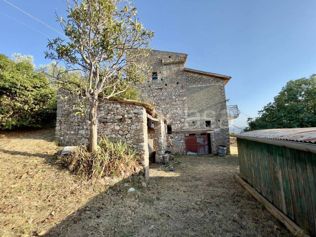immagine annuncio 6 di 12