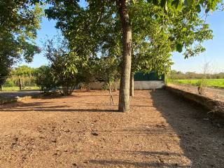 Terreno agricolo in vendita a striano 