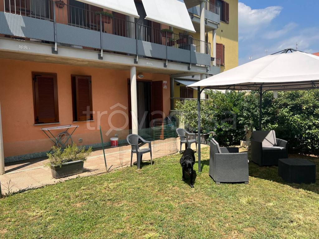 immagine annuncio 9 di 15