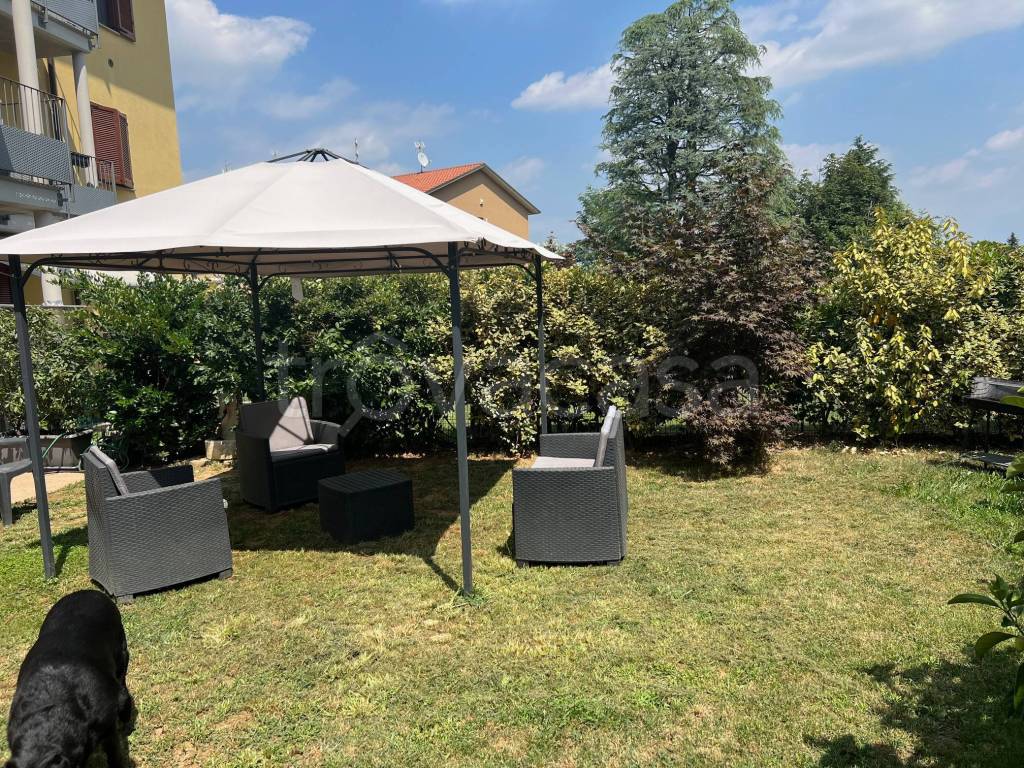 immagine annuncio 10 di 15