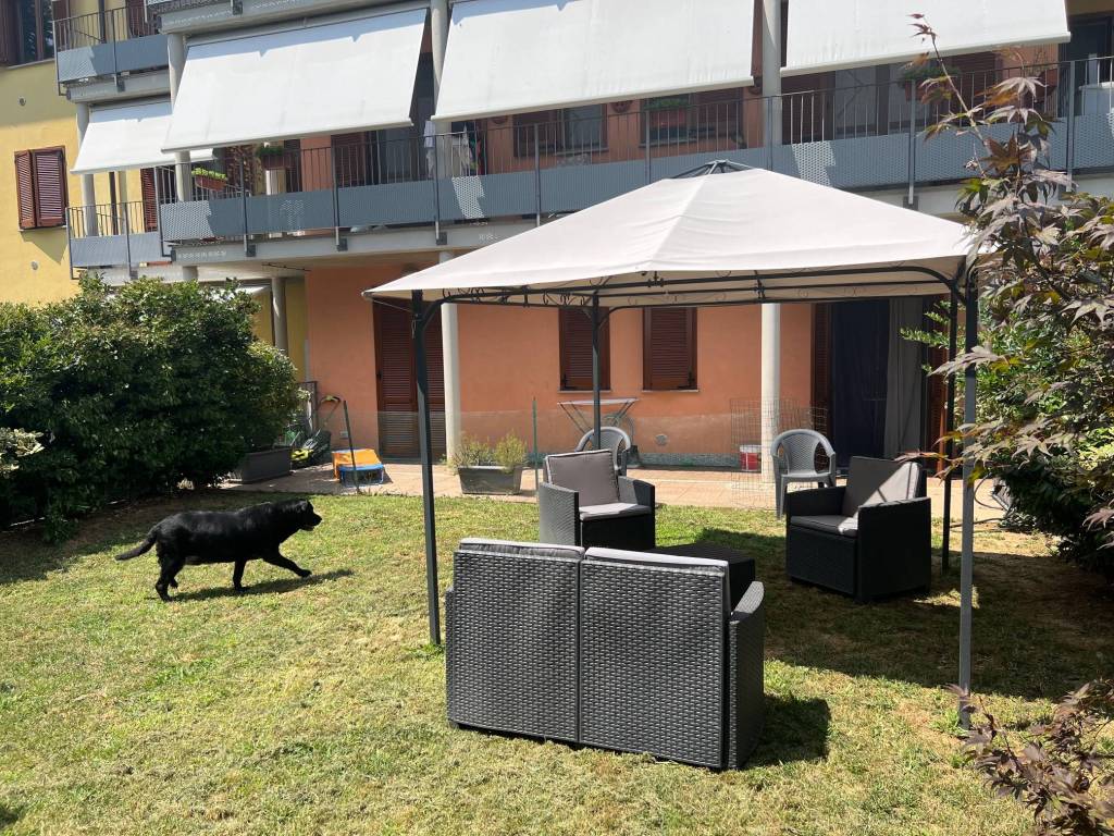 immagine annuncio 11 di 15