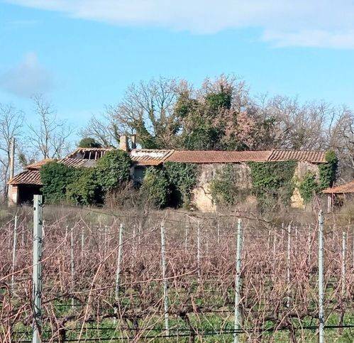 immagine annuncio 10 di 15