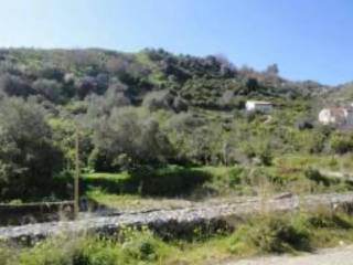 Terreno agricolo in vendita a nizza di sicilia autostrada messina-catania