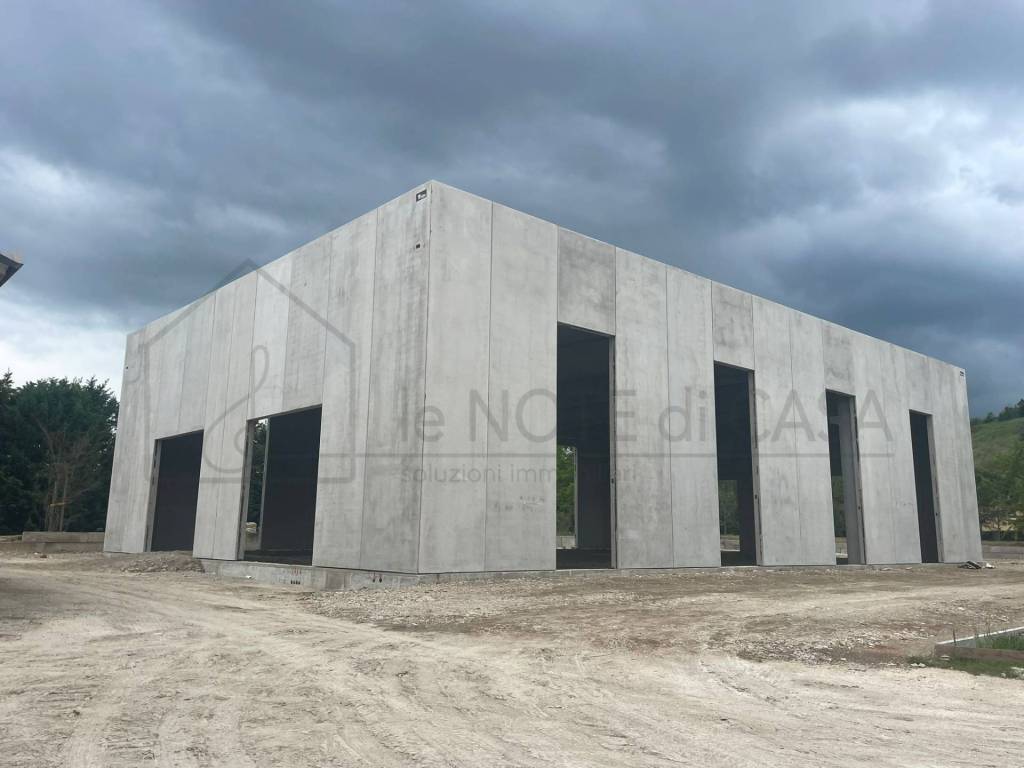 immagine annuncio 1 di 9