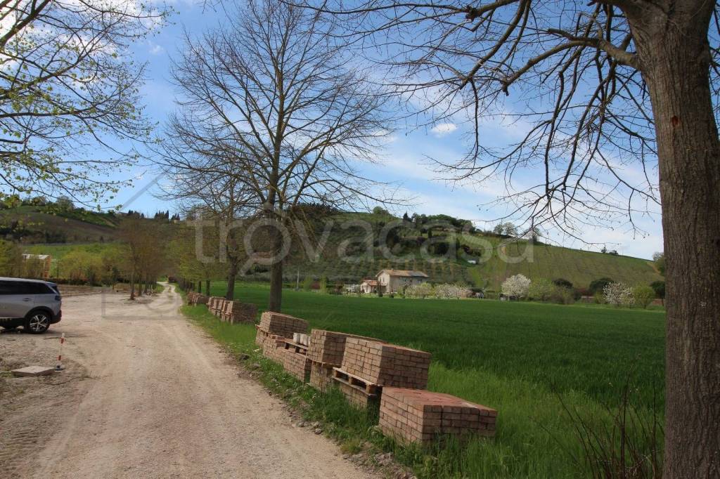 immagine annuncio 3 di 9