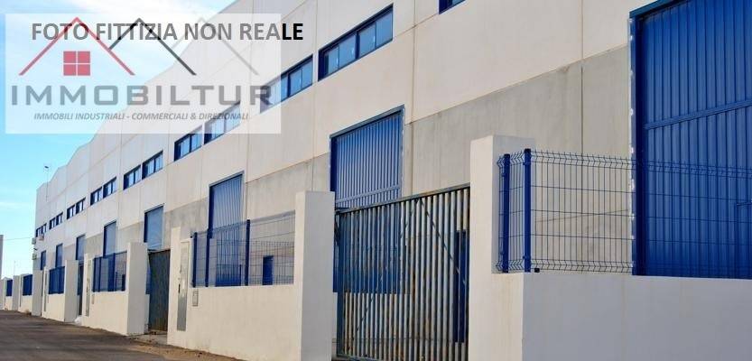 immagine annuncio 2 di 6