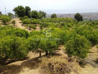 Terreno agricolo in vendita a mascali via pennisi