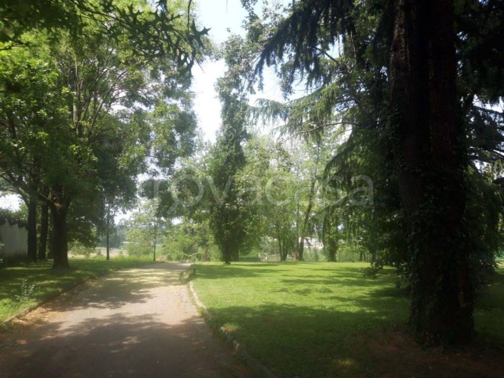 immagine annuncio 2 di 12