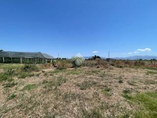 Terreno agricolo in vendita a cisterna di latina via f. corridoni, 59