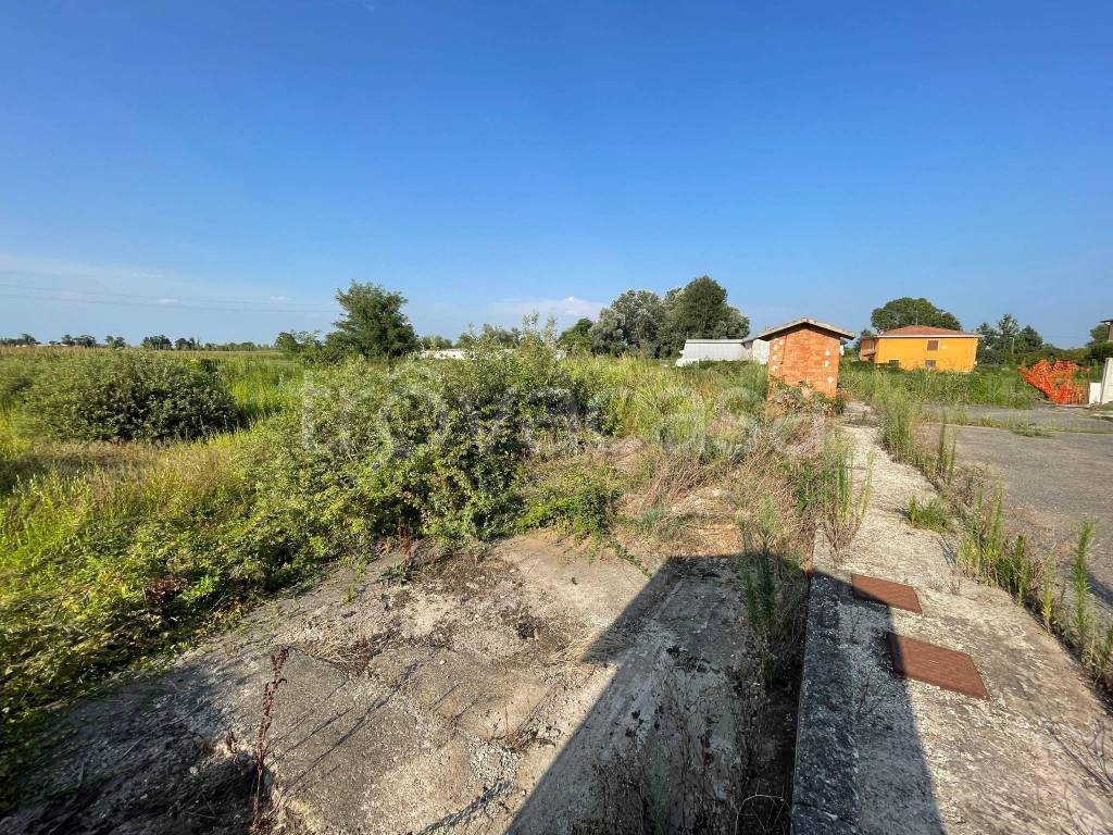 immagine annuncio 3 di 14