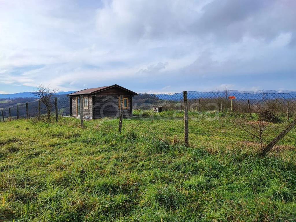 immagine annuncio 5 di 9