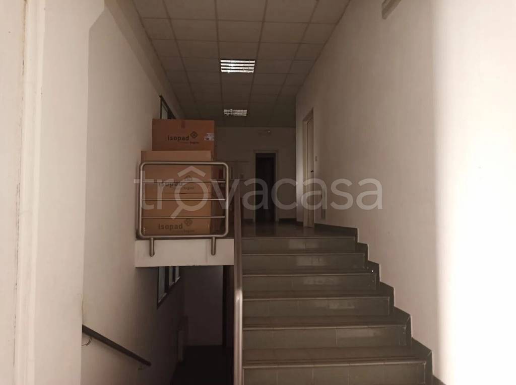 immagine annuncio 9 di 14