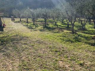 Terreno agricolo in vendita a montemurlo via di guzzano