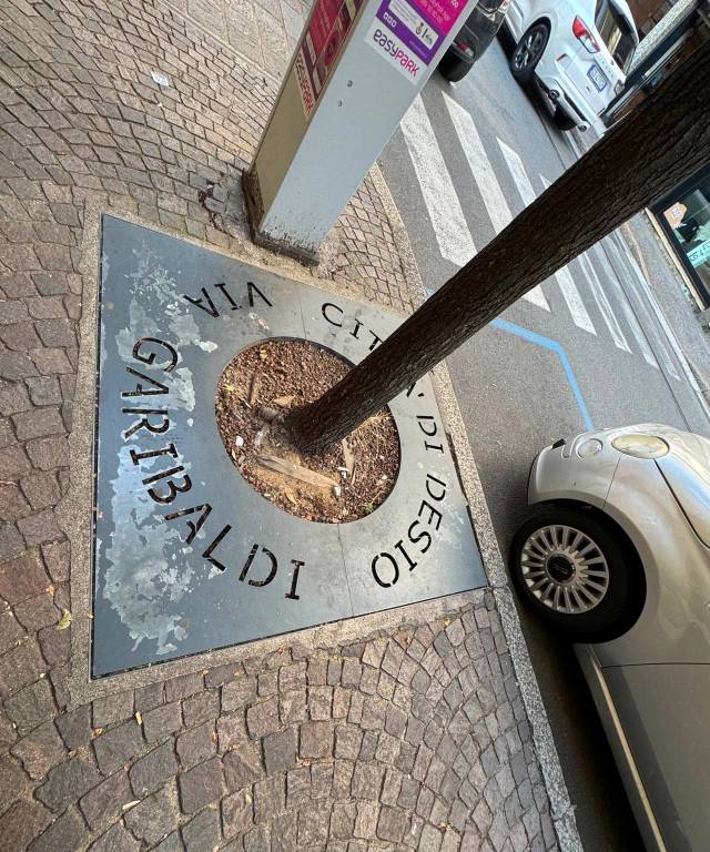 immagine annuncio 5 di 6