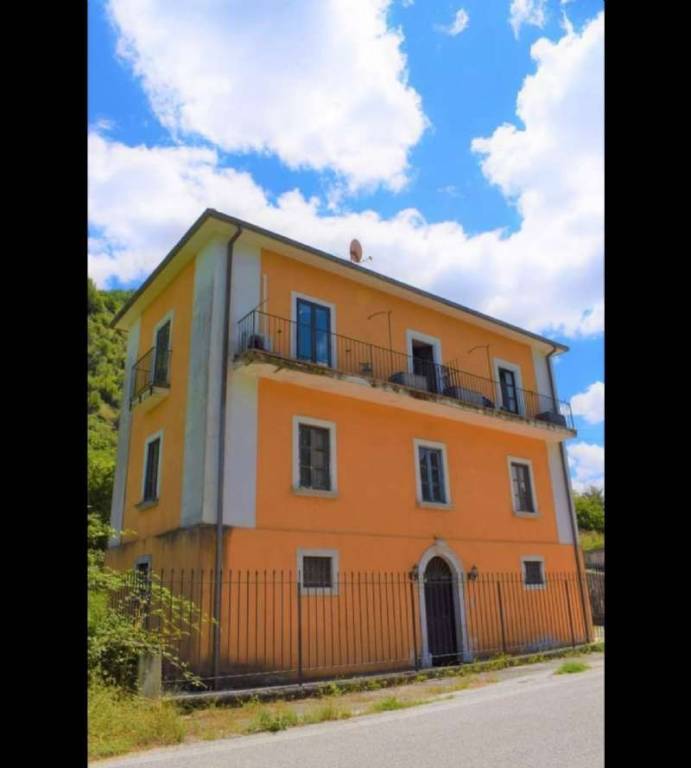 immagine annuncio 1 di 12