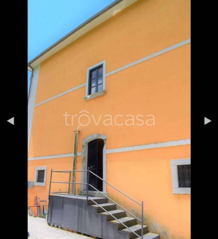 immagine annuncio 2 di 12