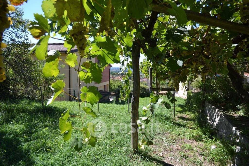 immagine annuncio 13 di 14