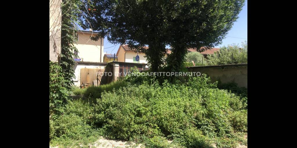 immagine annuncio 1 di 12