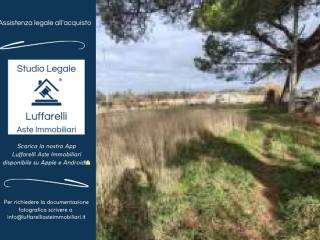 Terreno agricolo in vendita a viterbo strada di campo perello