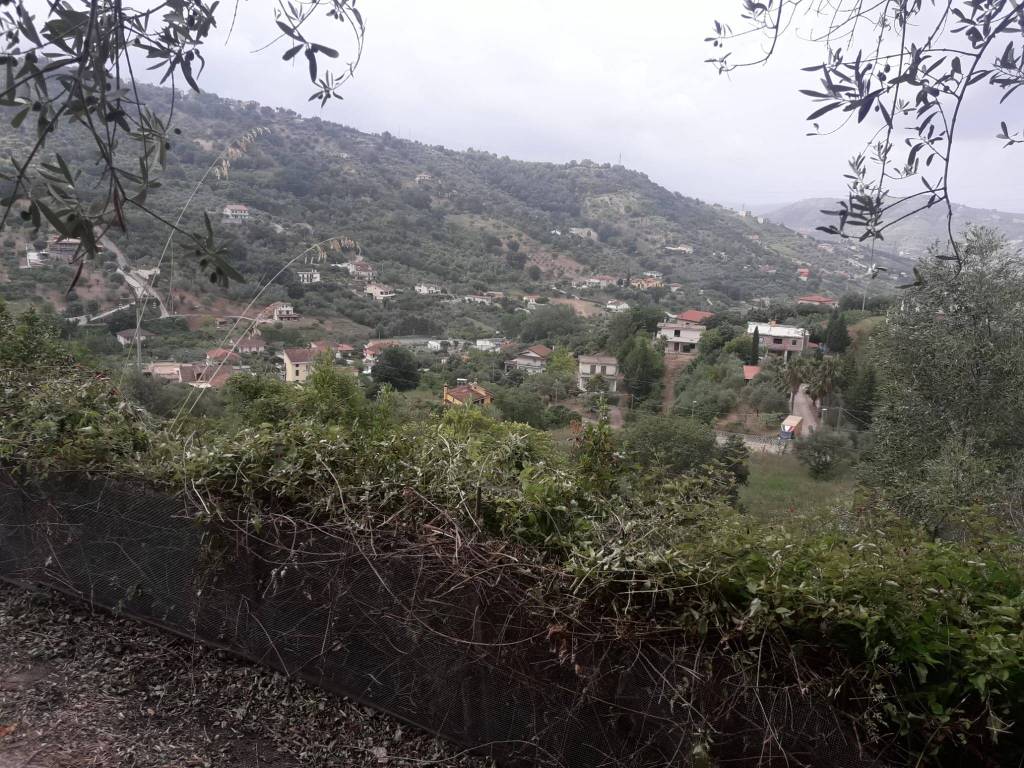 immagine annuncio 4 di 6