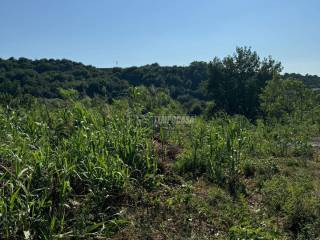 Terreno agricolo in vendita a caserta via cancello